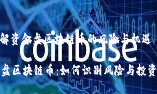 : 理解资金盘区块链币的风险与机遇

资金盘区块链币：如何识别风险与投资机遇