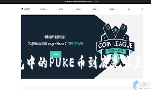 TP钱包中的PUKE币到底是真是假？