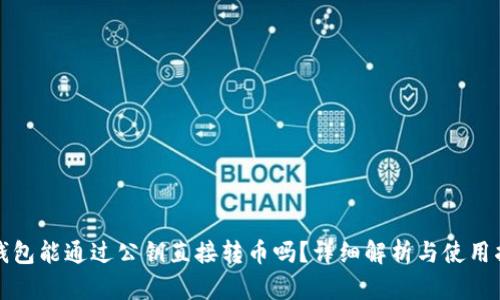 TP钱包能通过公钥直接转币吗？详细解析与使用指南