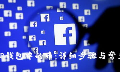 如何找回TP钱包中的币：详细步骤与常见问题解答