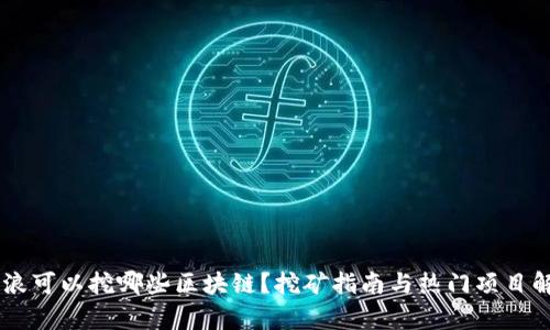 币浪可以挖哪些区块链?挖矿指南与热门项目解析